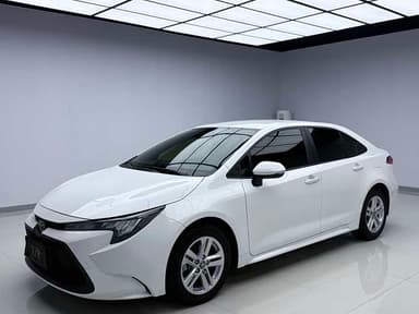 Levin