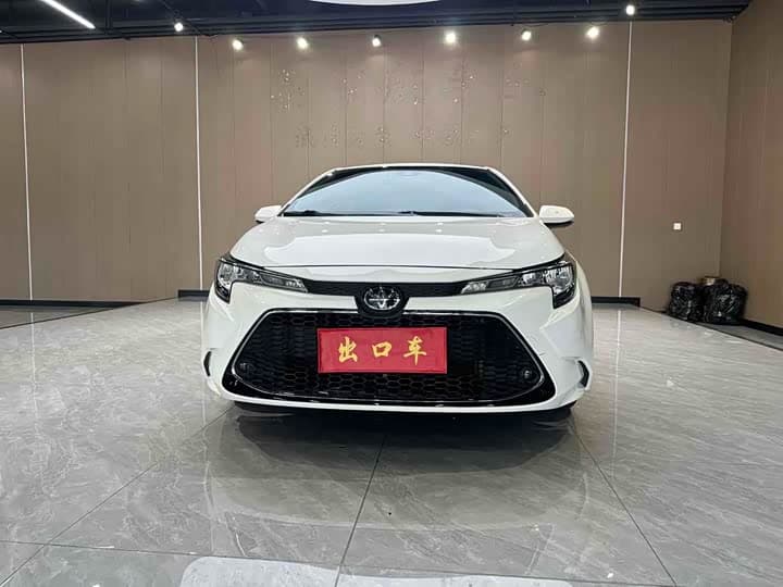 Levin