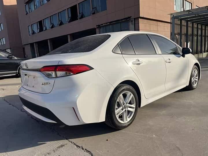 Levin