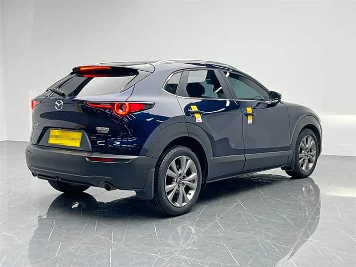 CX-30