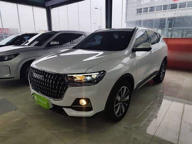 H6