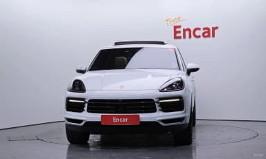 Cayenne (PO536)