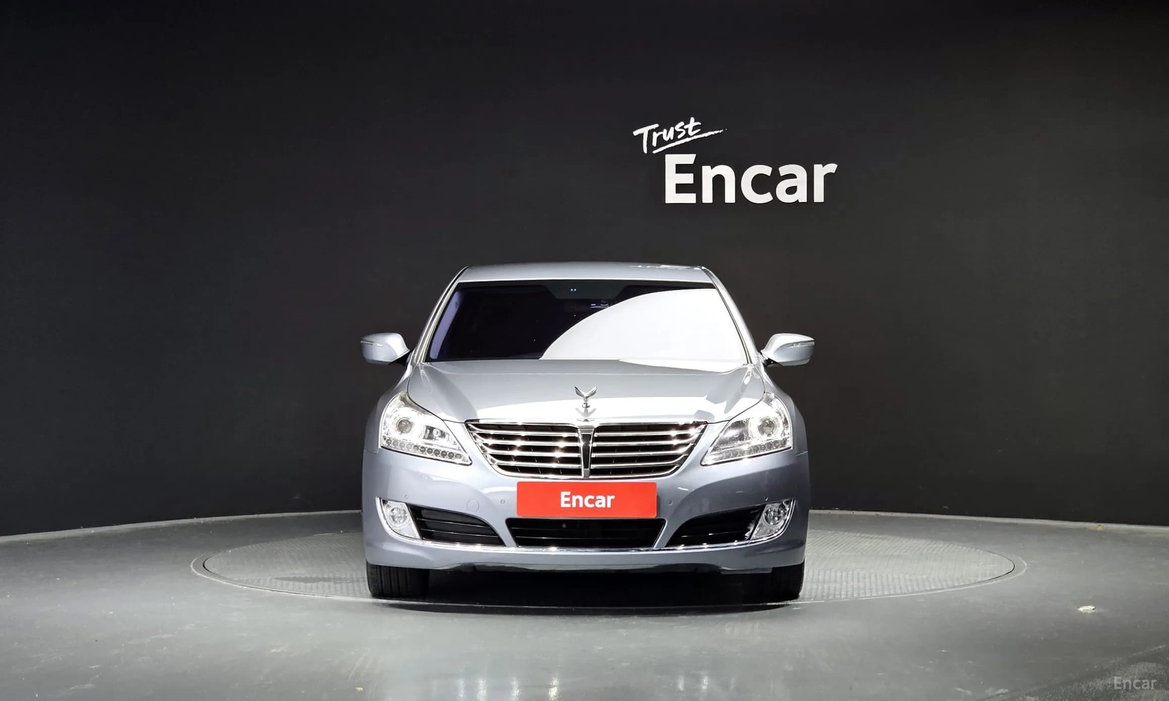 Equus (new)