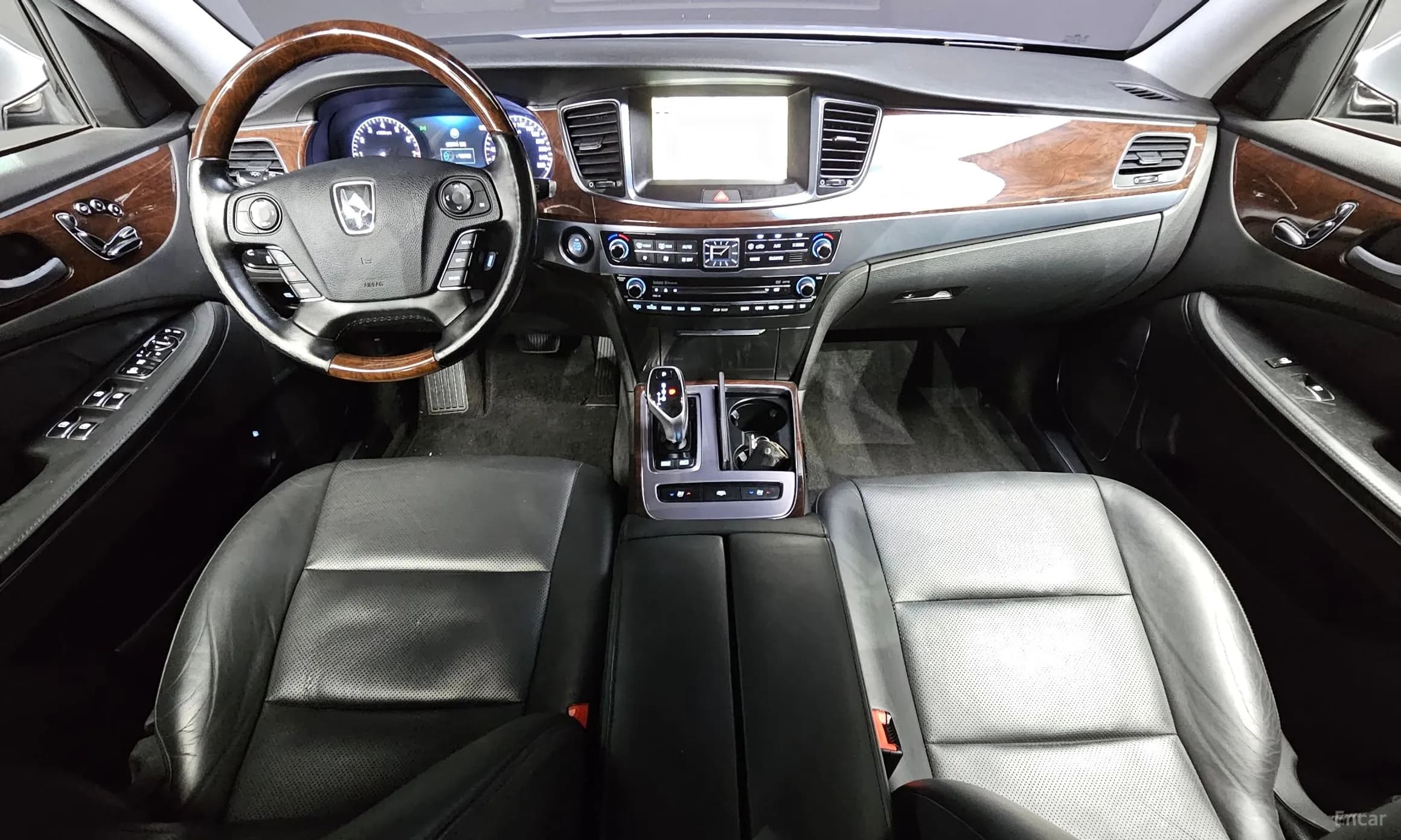 Equus (new)