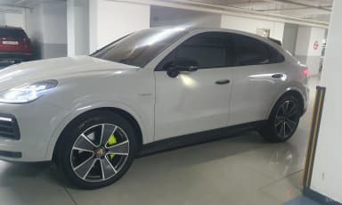 Cayenne (PO536)