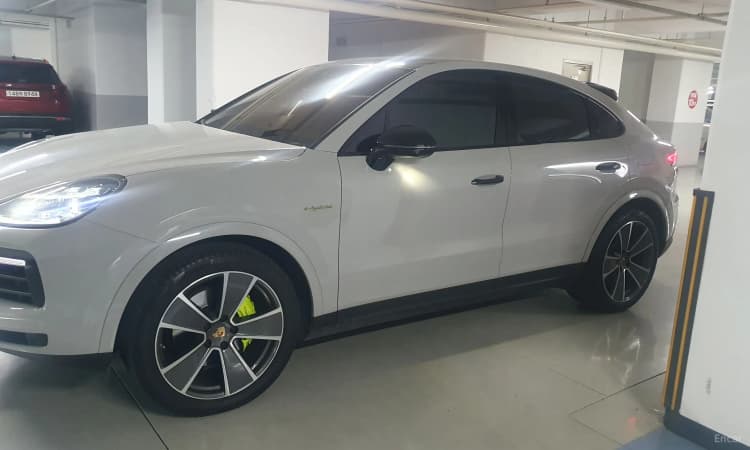 Cayenne (PO536)