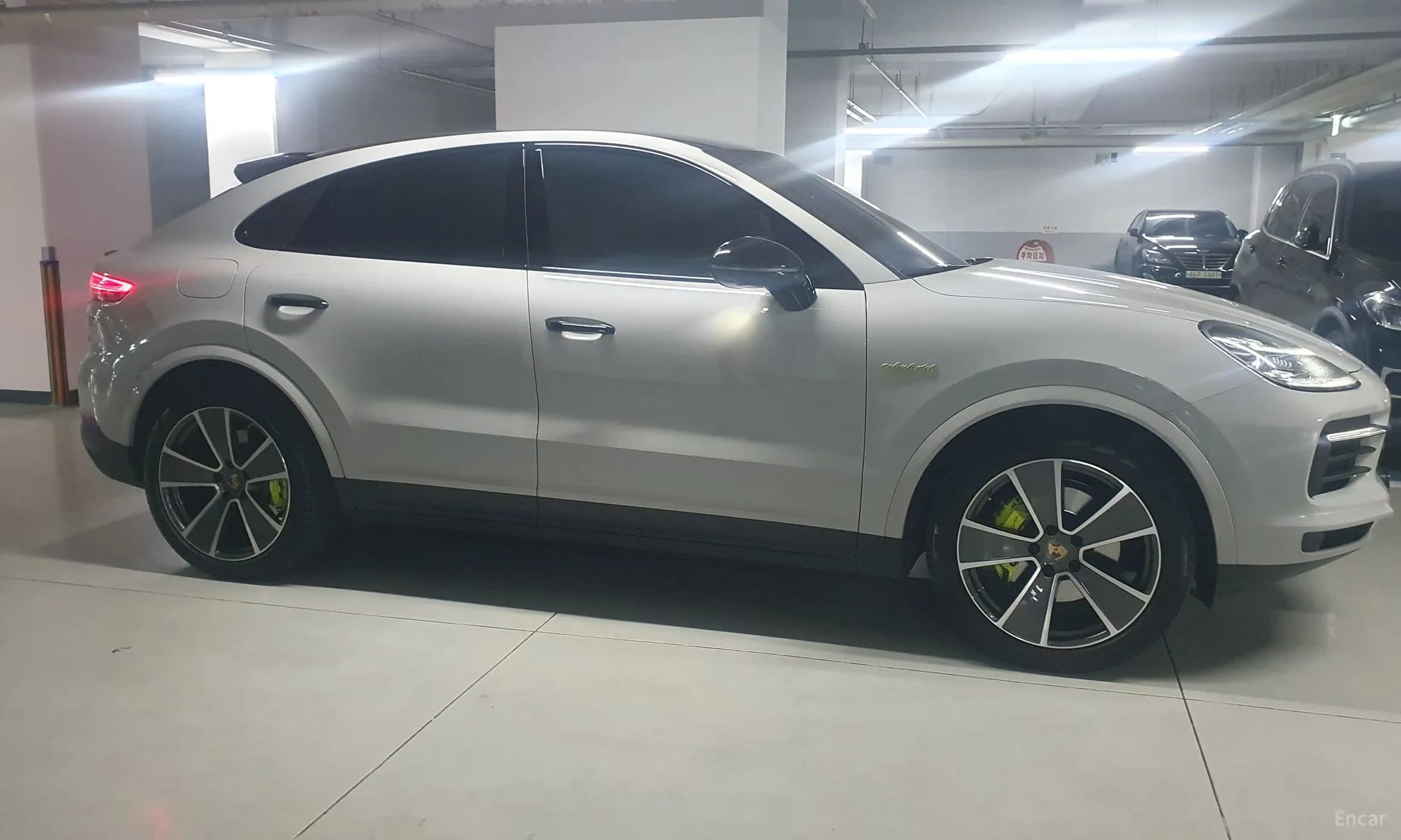 Cayenne (PO536)