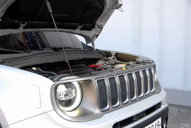 Renegade