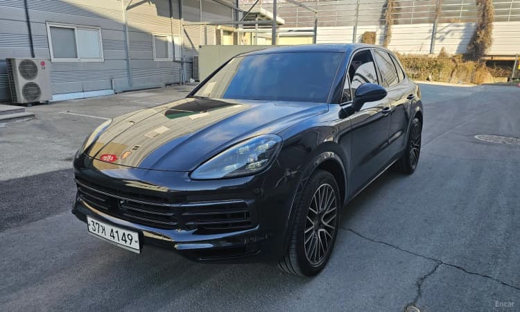 Cayenne (PO536)
