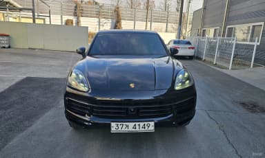 Cayenne (PO536)