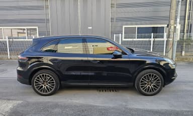 Cayenne (PO536)