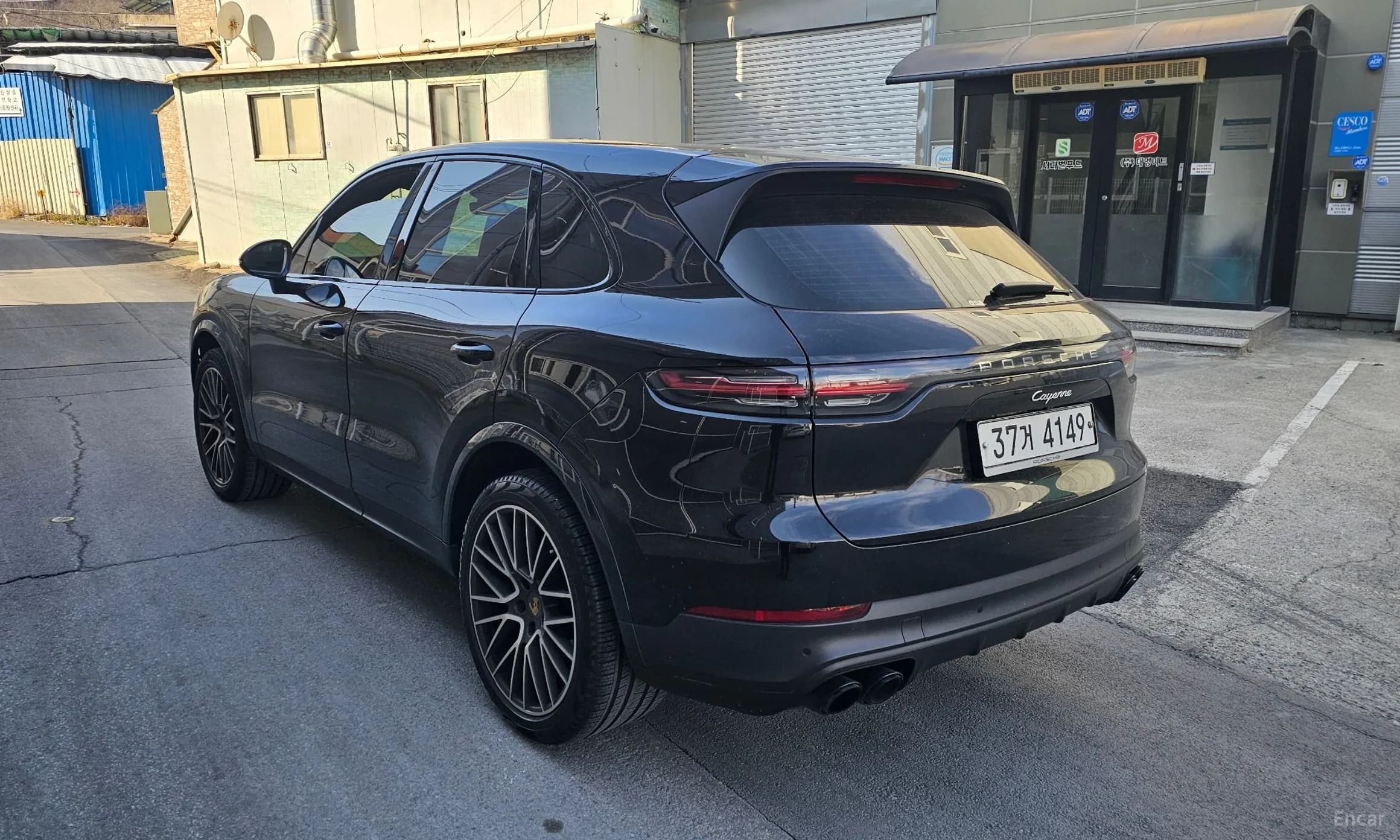 Cayenne (PO536)