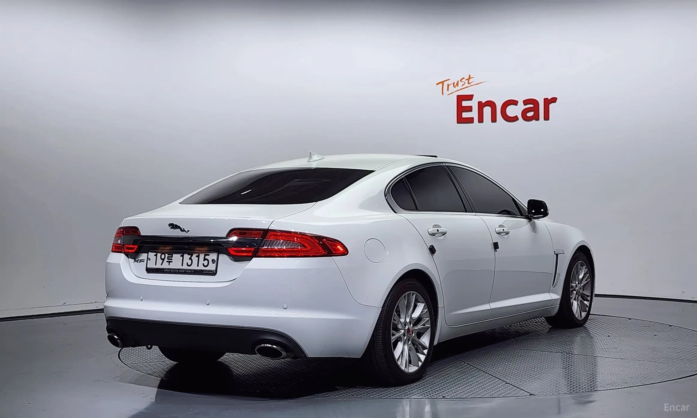 New XF
