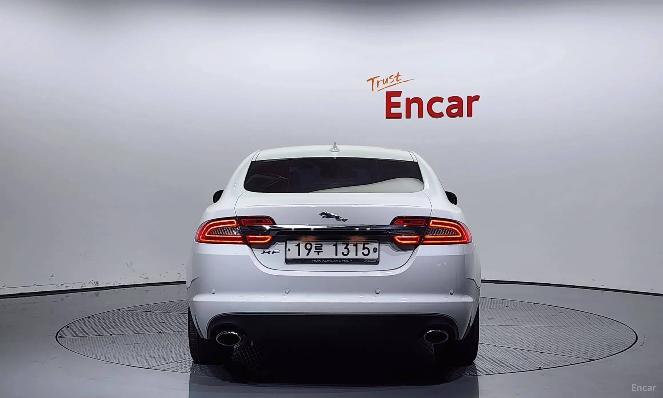 New XF