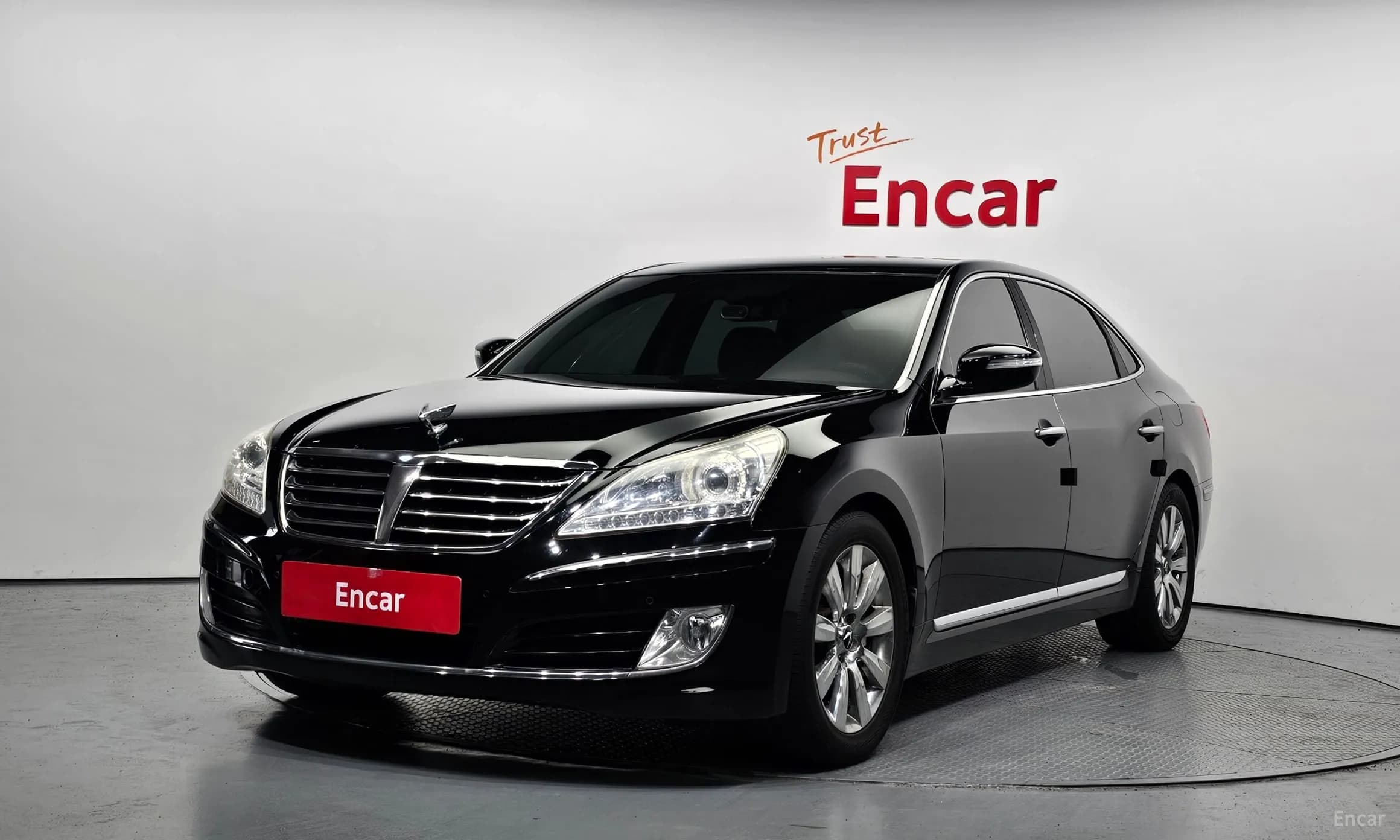 Equus (new)