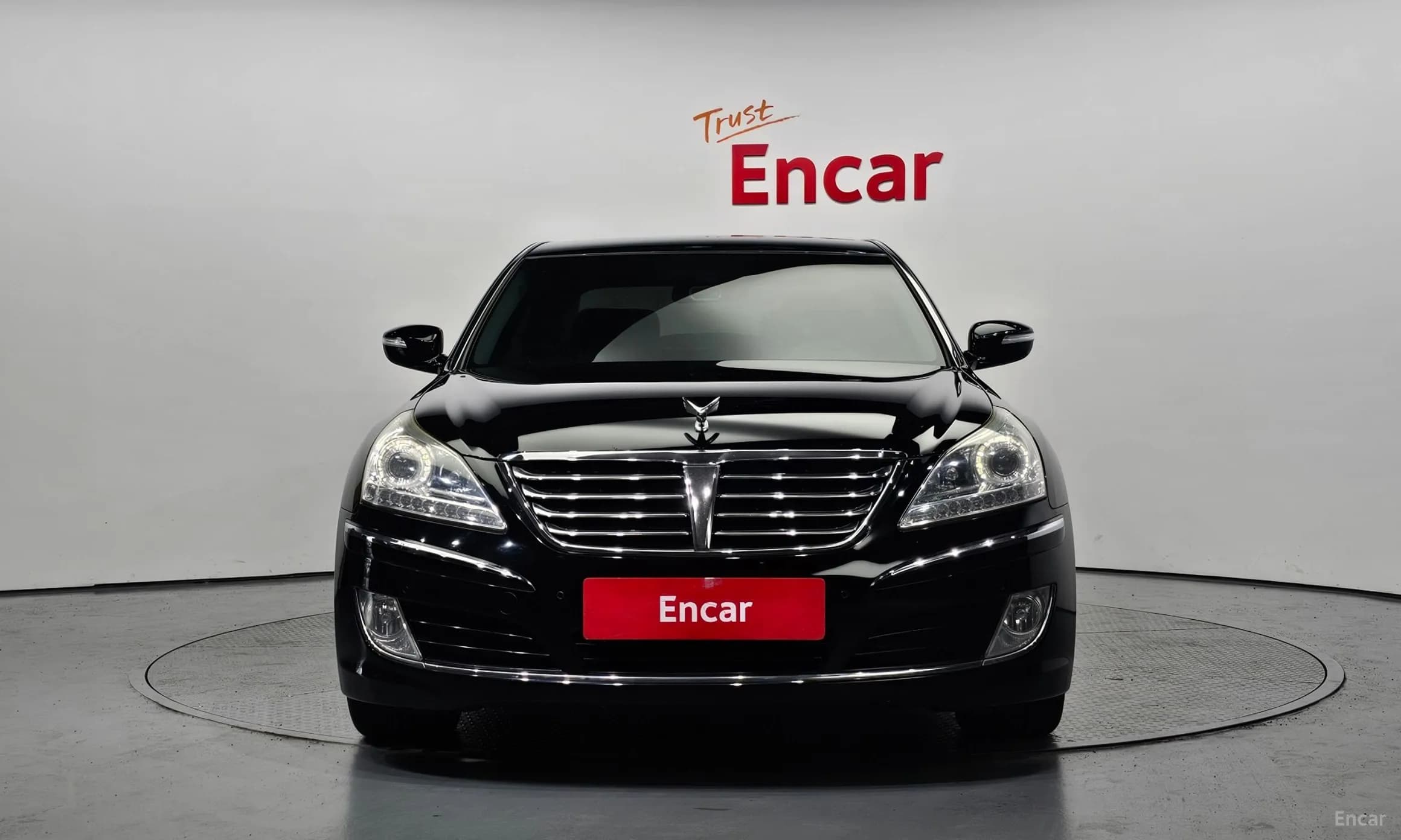 Equus (new)
