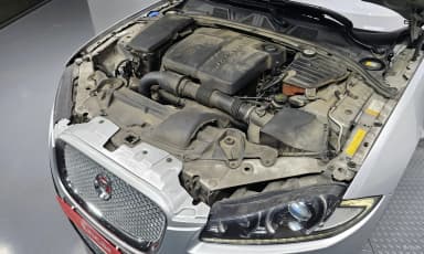 New XF