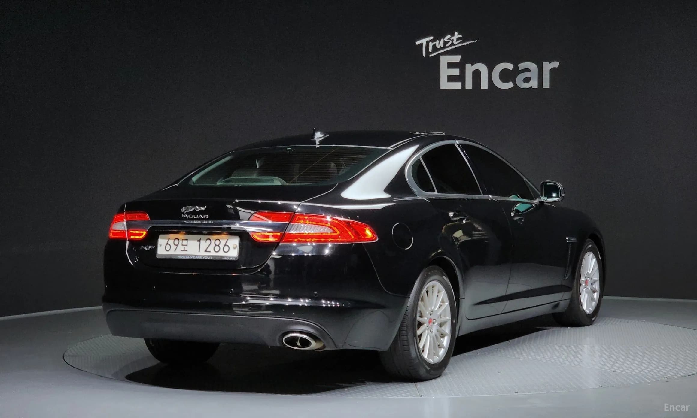 New XF