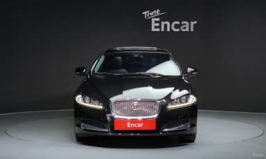 New XF