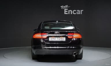 New XF