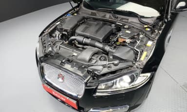 New XF