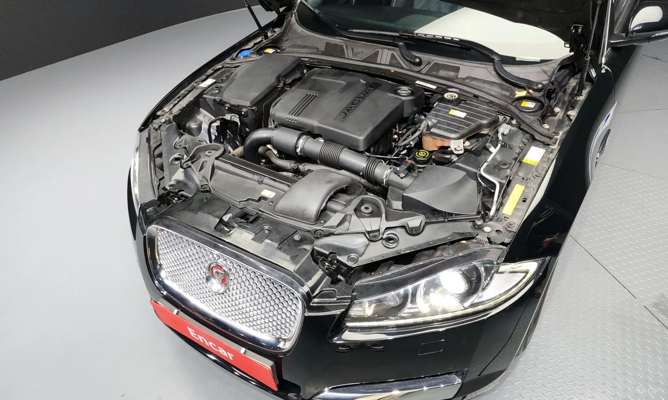 New XF
