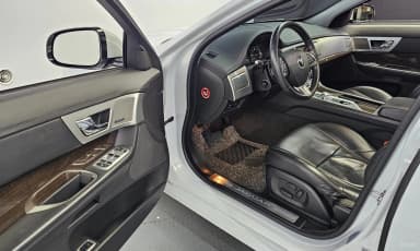 New XF