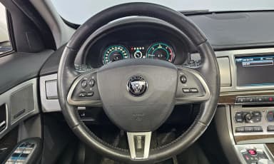 New XF