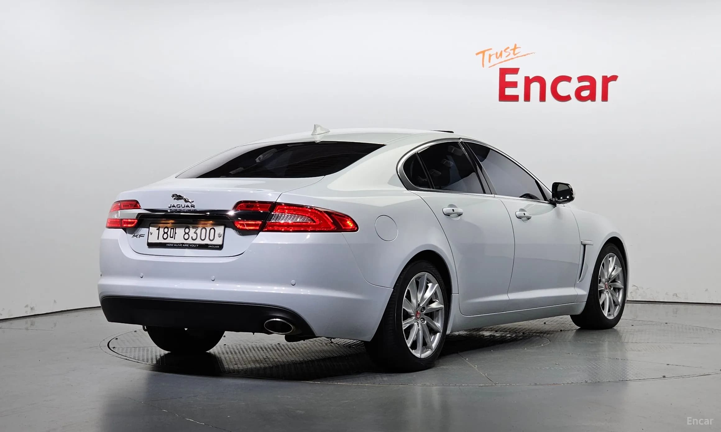 New XF