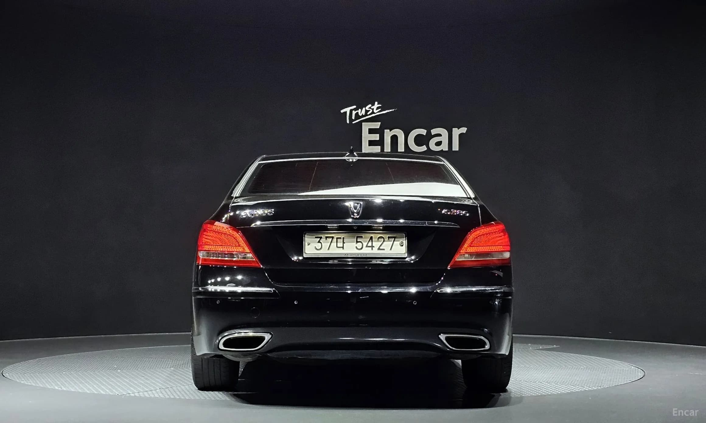 Equus (new)