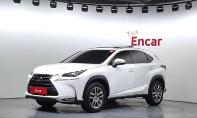 NX300h