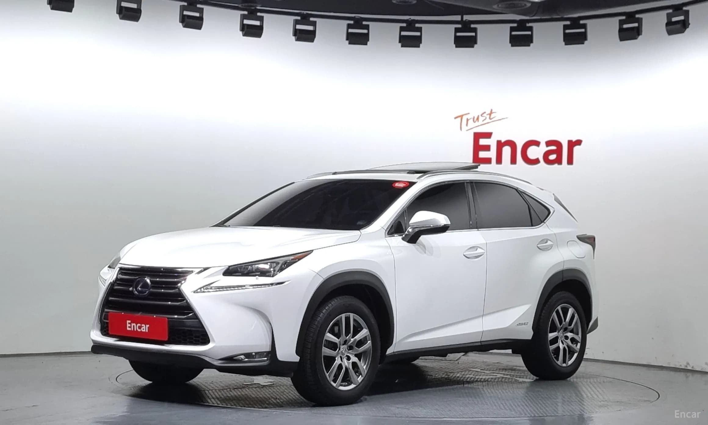 NX300h