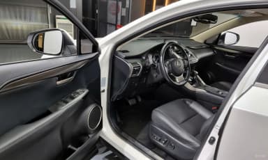 NX300h