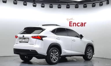 NX300h