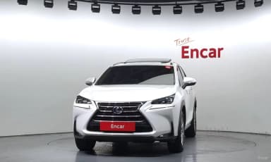 NX300h