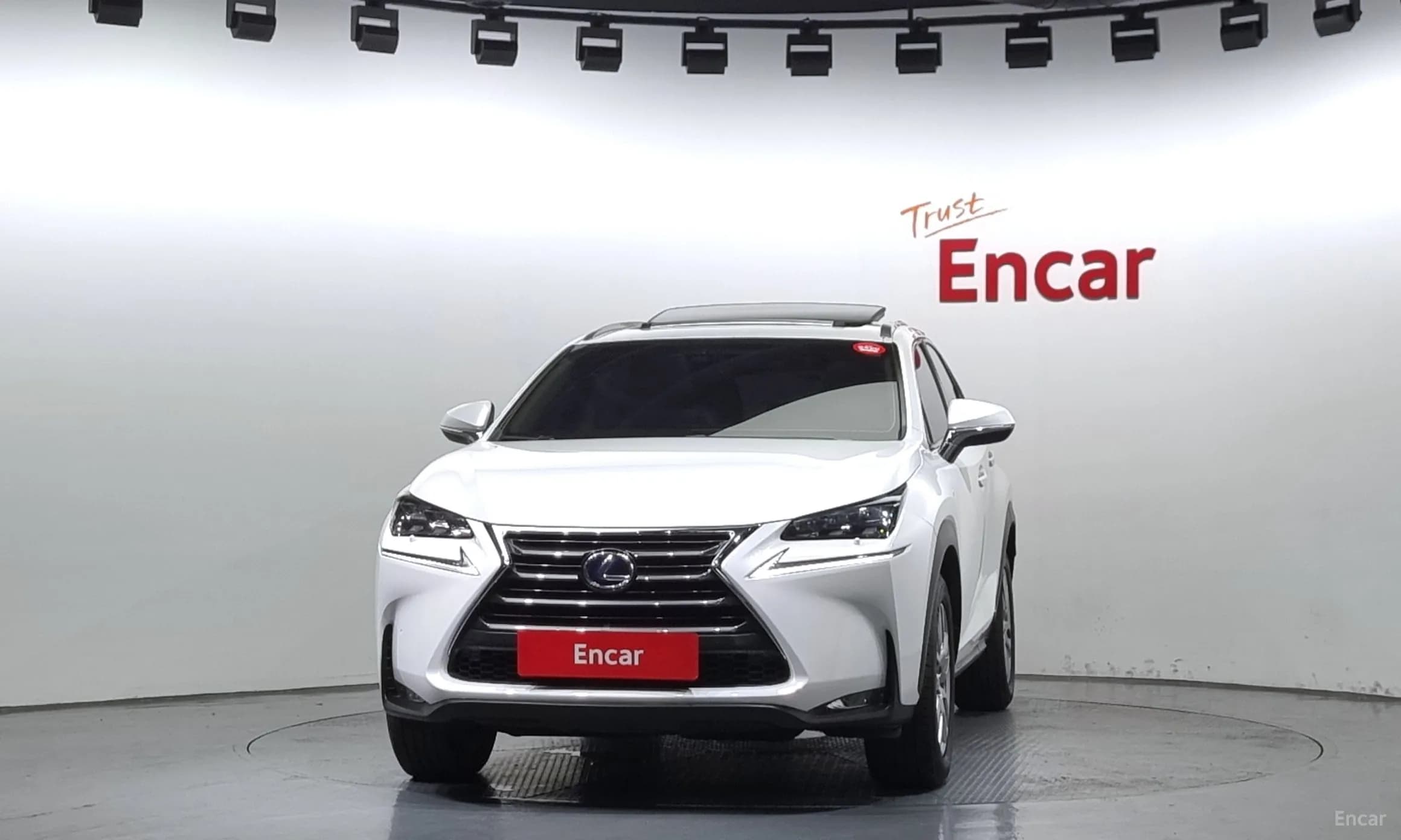 NX300h