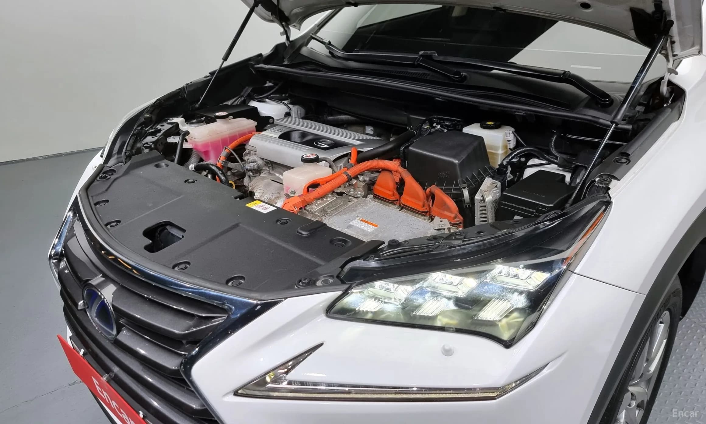 NX300h