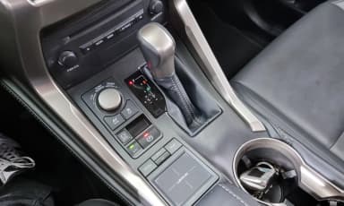 NX300h
