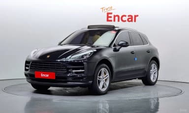 Macan