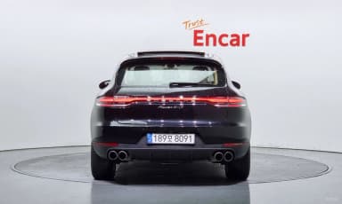 Macan