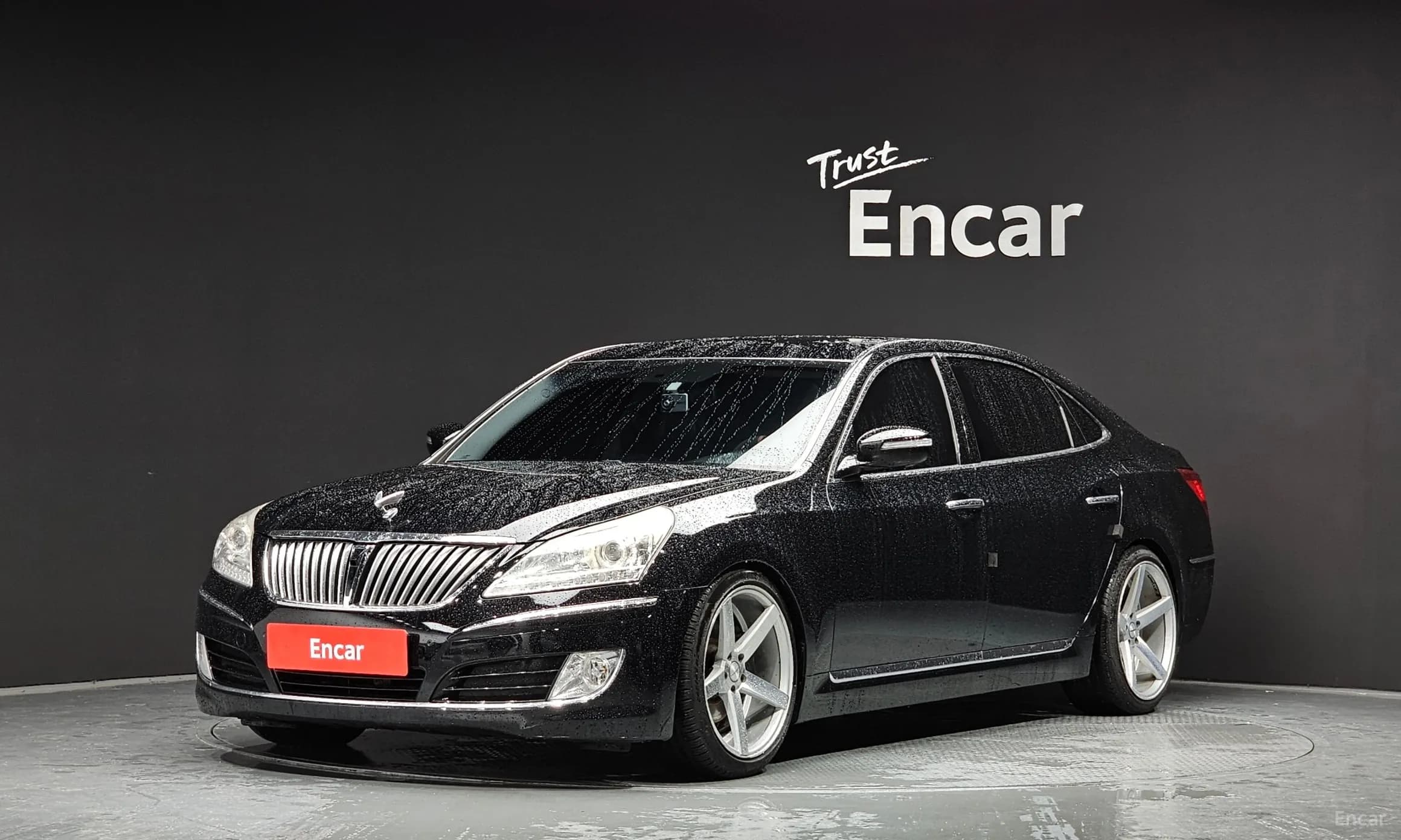 Equus (new)