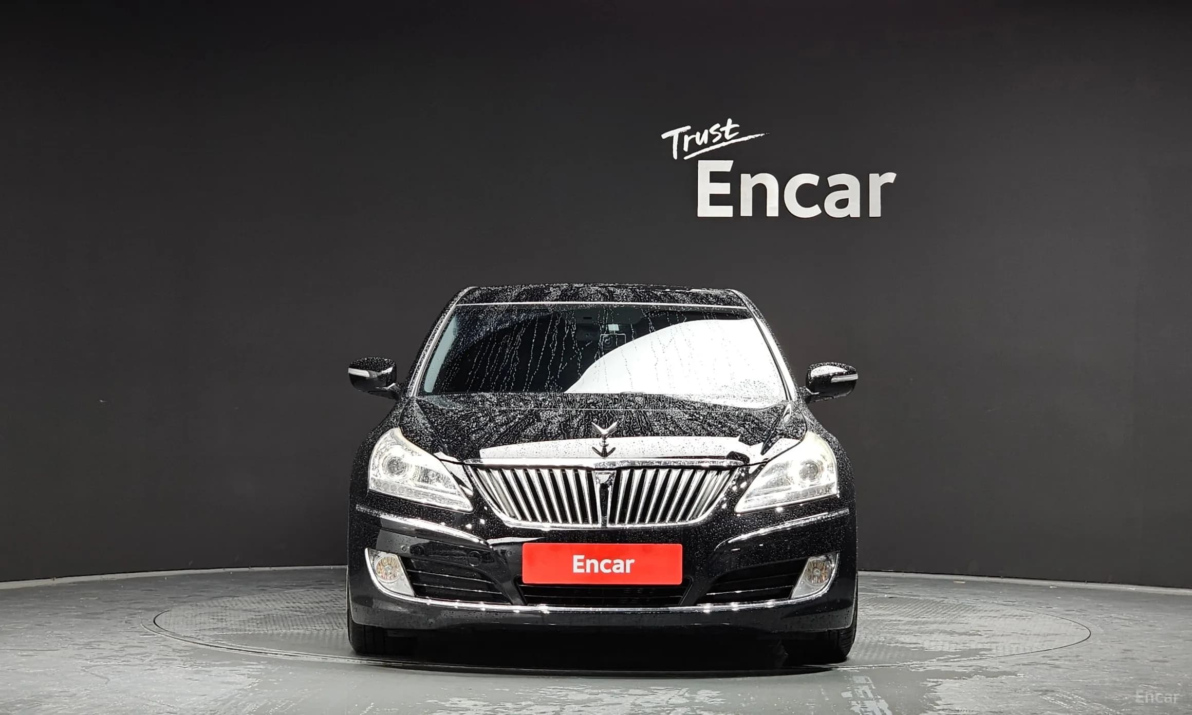 Equus (new)