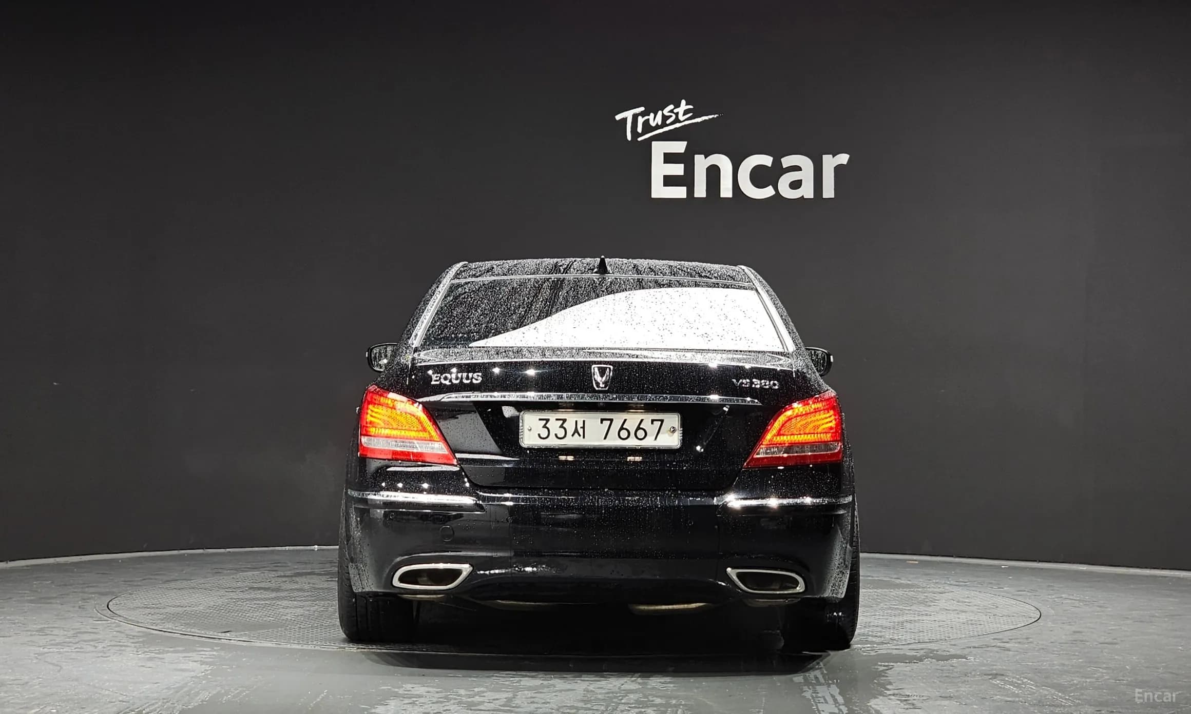 Equus (new)