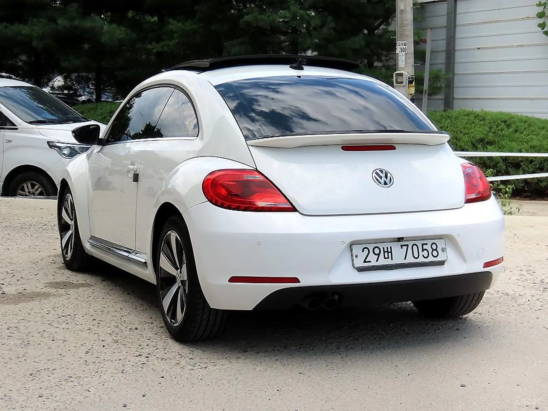 The Beetle
