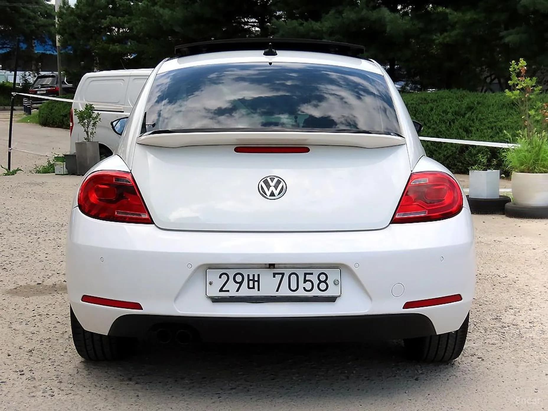 The Beetle