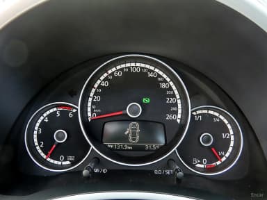 The Beetle