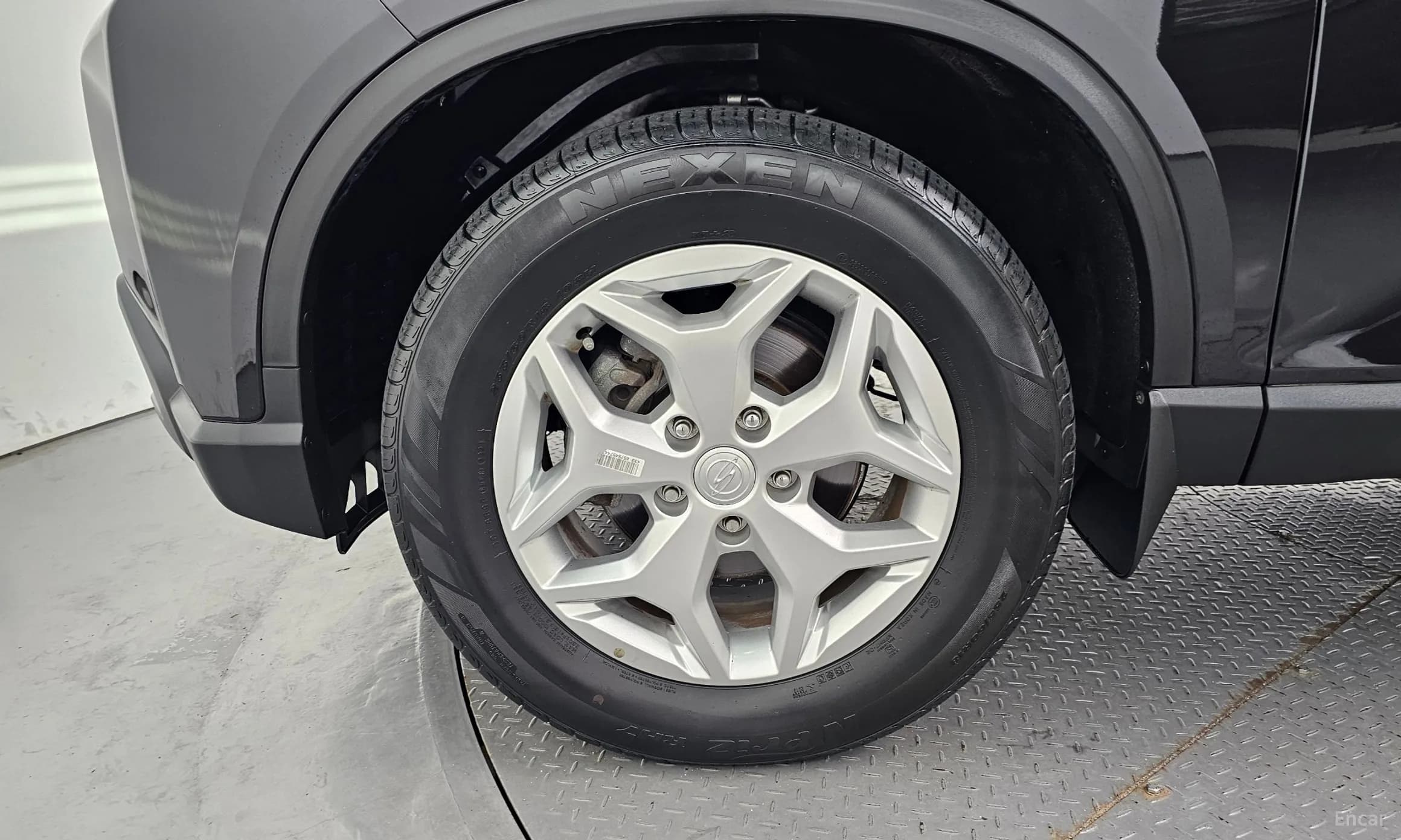 Rexton Sports