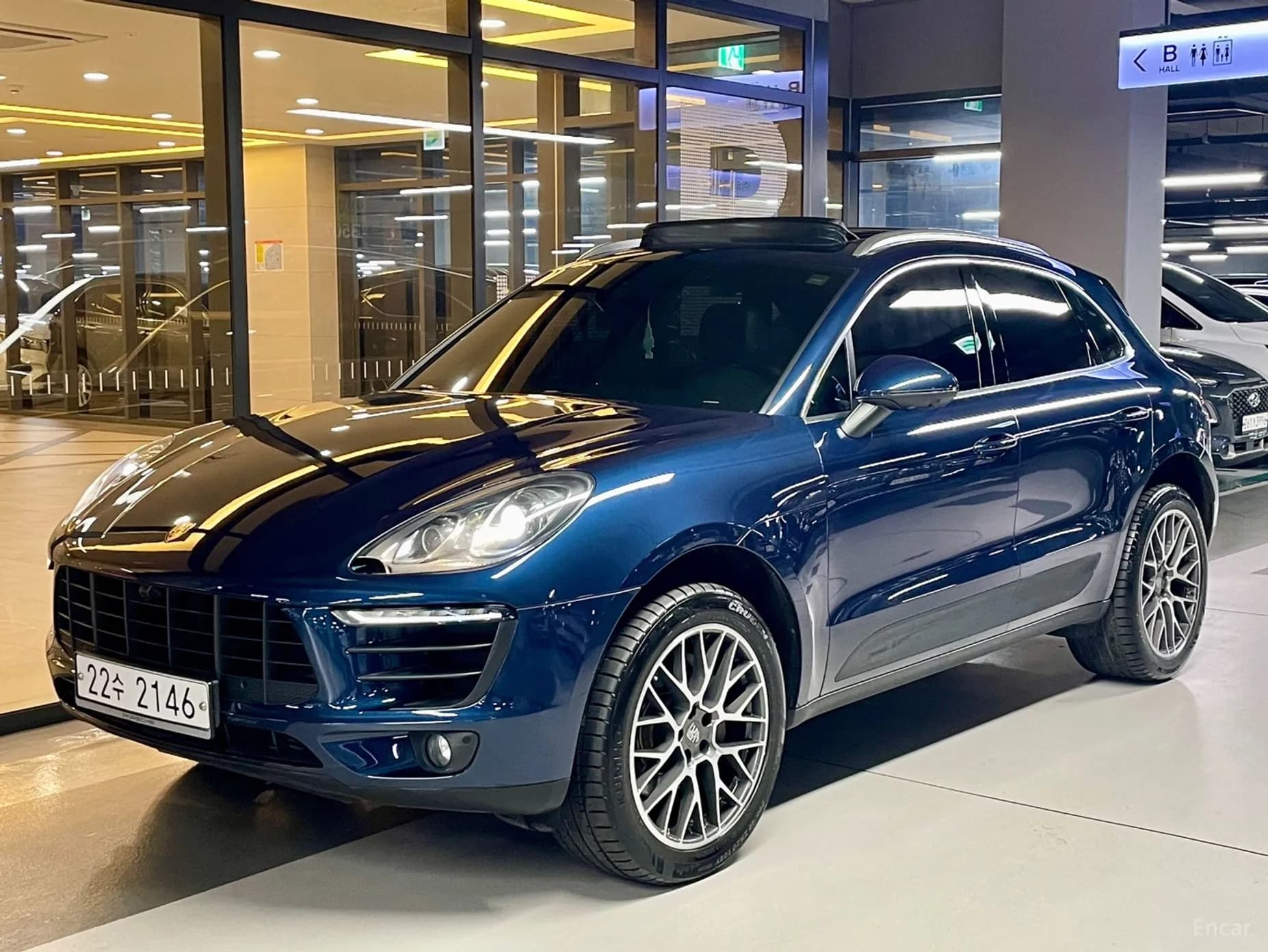 Macan