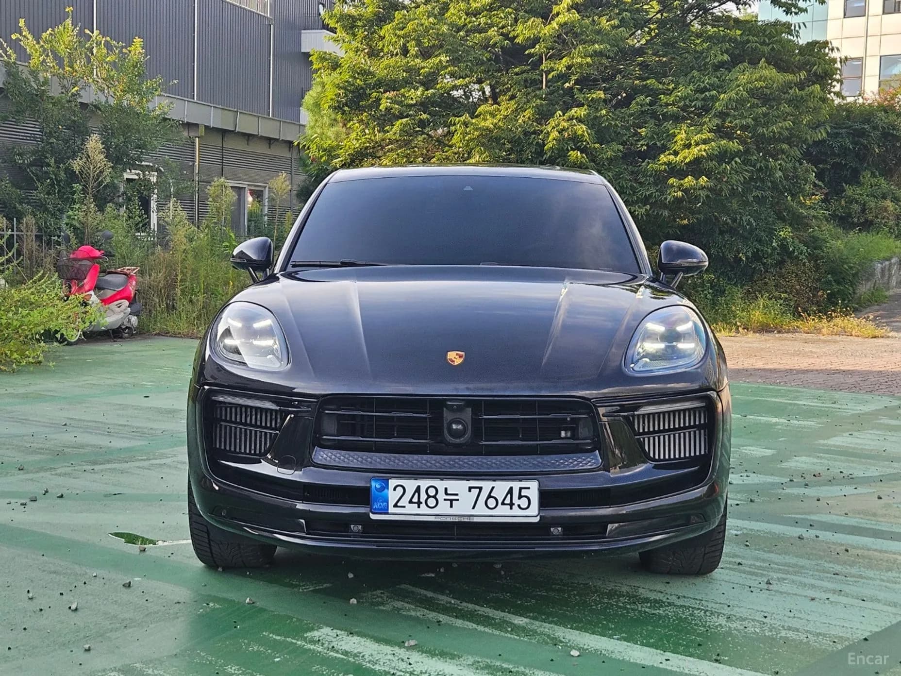 Macan