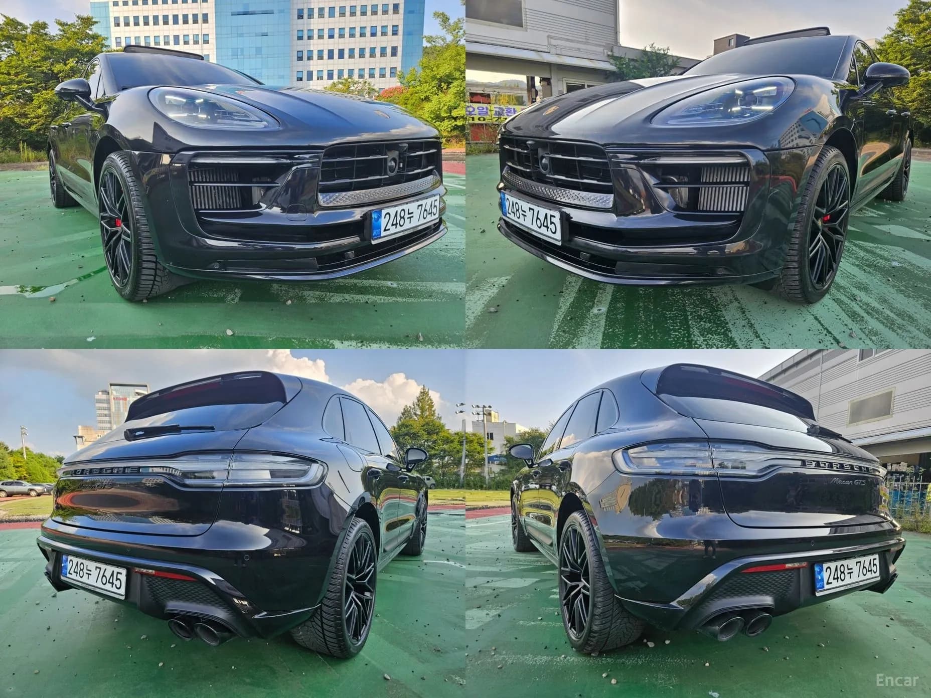 Macan